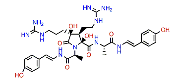 Anchinopeptolide A